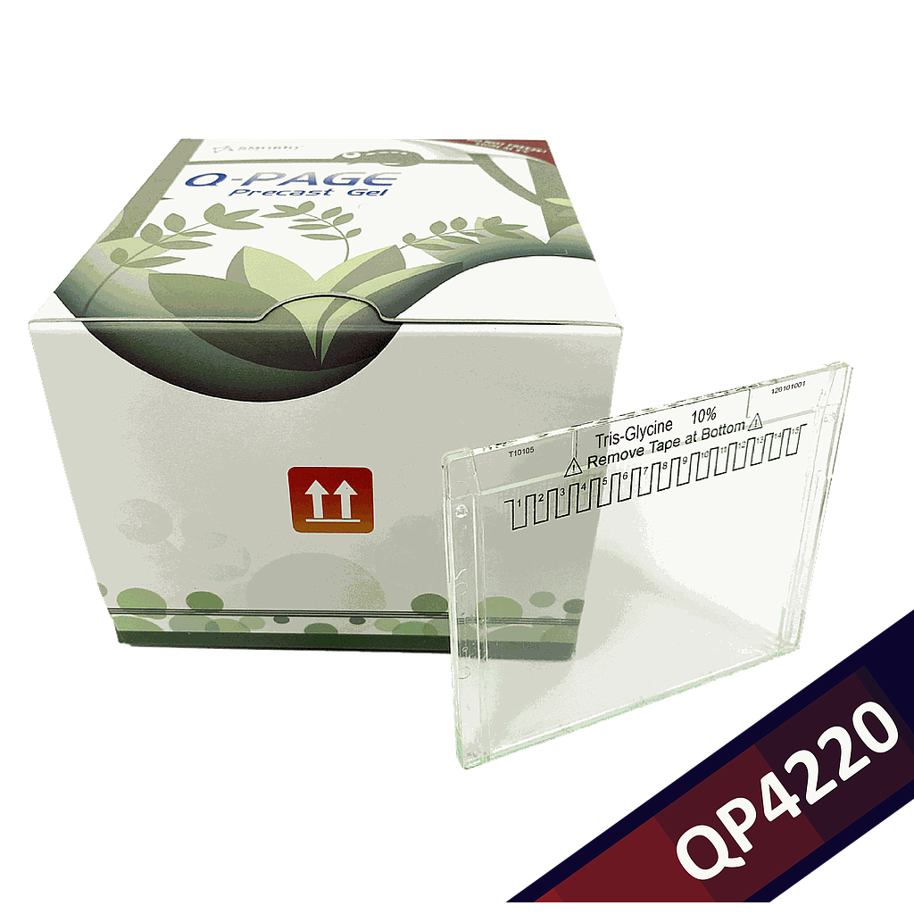 [QP4220] Q-PAGE™ TGN預鑄膠(小型, 15孔, 10%), 10片